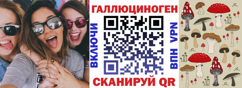 где найти наркотики  Мезень  Галлюциногенные грибы Cubensis 